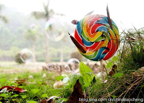 寶島臺(tái)灣過(guò)新年,體驗(yàn)臺(tái)北平民的時(shí)尚生活 寶島臺(tái)灣過(guò)新年,體驗(yàn)臺(tái)北平民的時(shí)尚生活