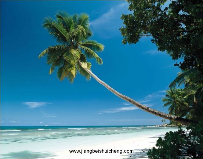 【全球行·大洋洲】關(guān)島